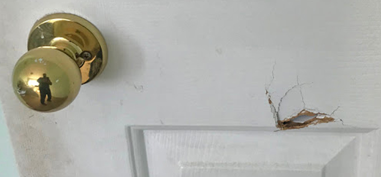 interior door hole repair La Crescenta-Montrose
